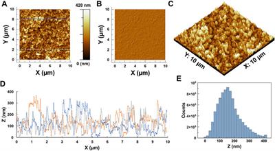 ZnO/Zn(OH)2 nanoparticles and self-cleaning coatings for the photocatalytic degradation of organic pollutants